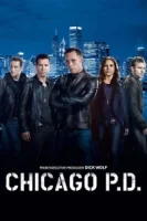 Полиция Чикаго (сериал 2014) смотреть онлайн