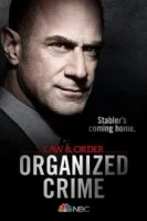 Закон и порядок: Организованная преступность (сериал 2021) смотреть онлайн